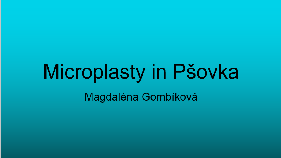 02 08 Microplasty in Psovka