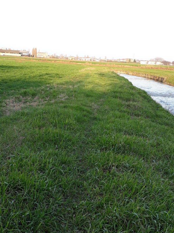 Acqua a Rivalta-16
